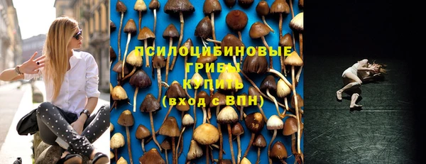 тгк Абдулино